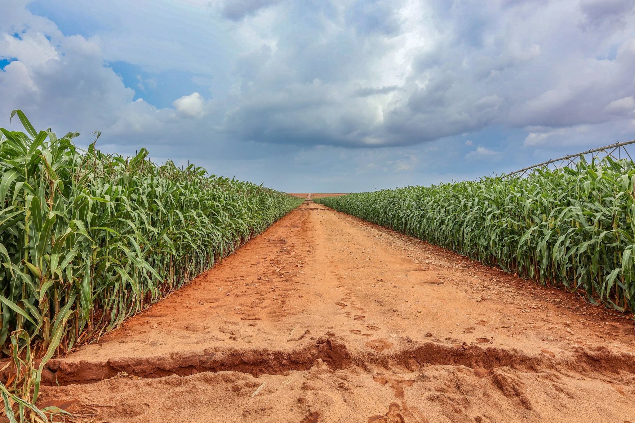 Galana Kulalu: Kenya Targets 1.8 Million Acres for Large-Scale Irrigated Farming Under Food Security Plan